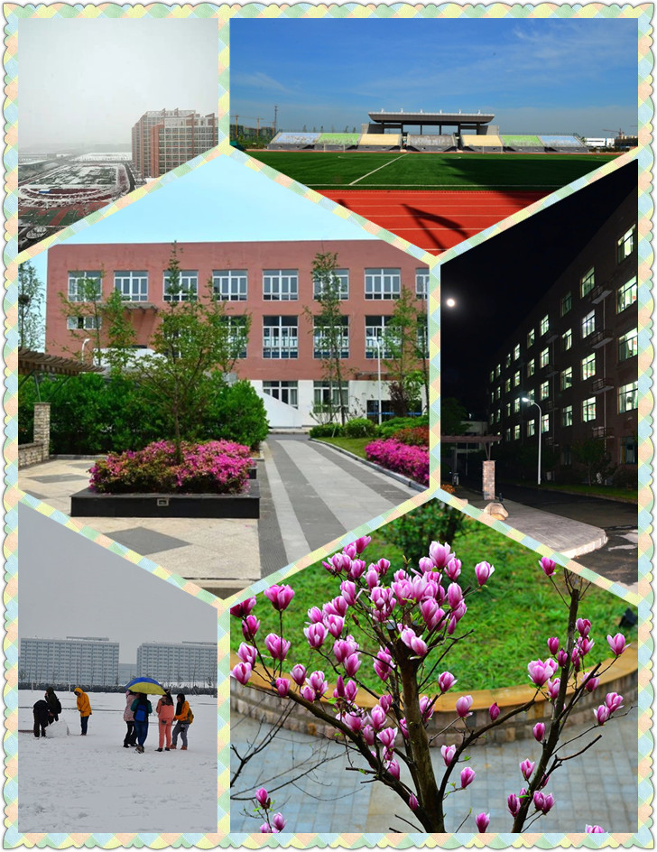 校园一角（3）.jpg