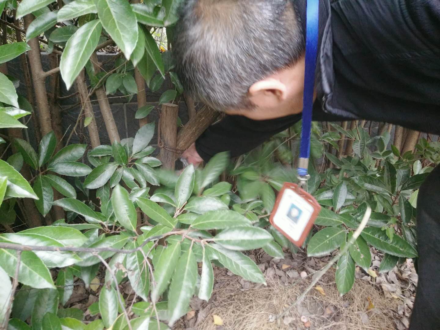 42897808166915205.jpg 42897808166915205.jpg