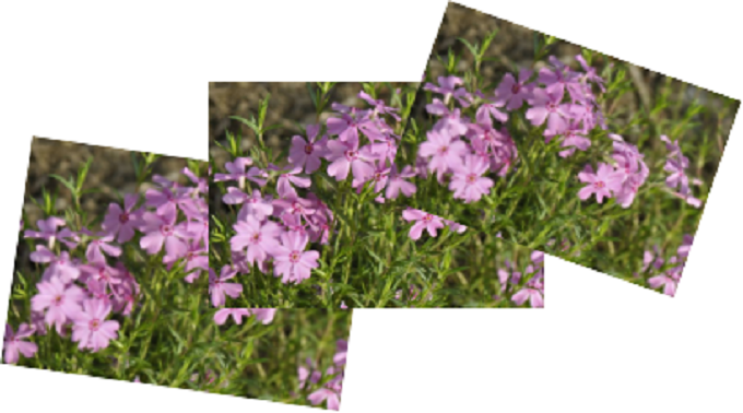 图片3.png 图片3.png