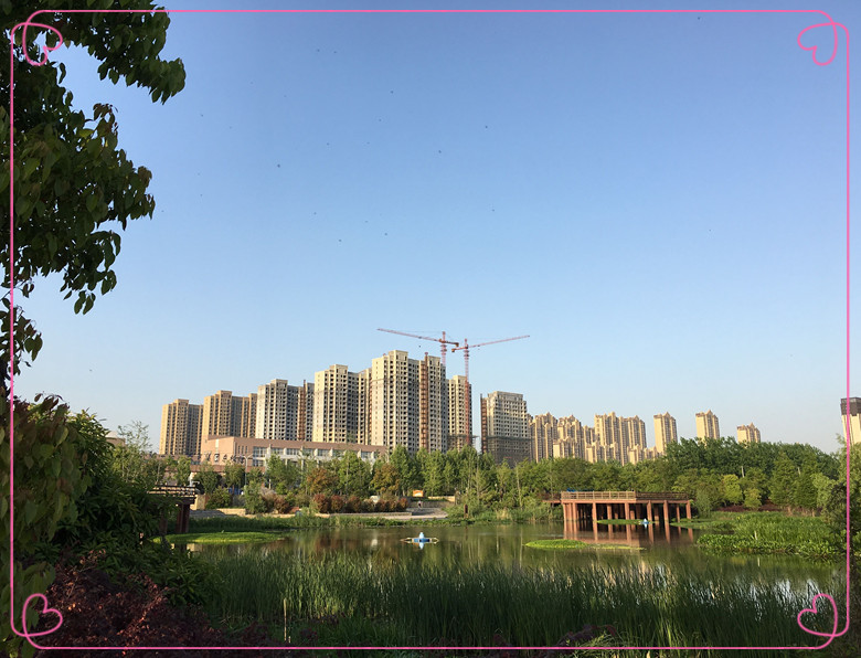 QQ图片20180430172107_副本.jpg