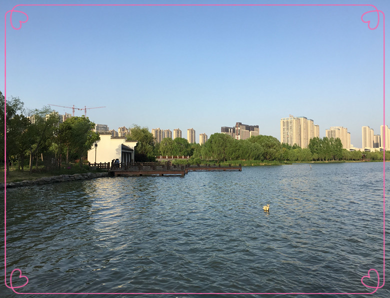 QQ图片20180505214630_副本.jpg QQ图片20180505214630_副本.jpg