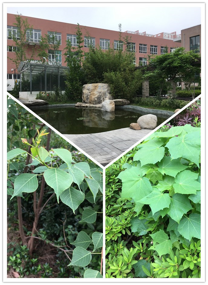 2initpintu_副本.jpg 2initpintu_副本.jpg