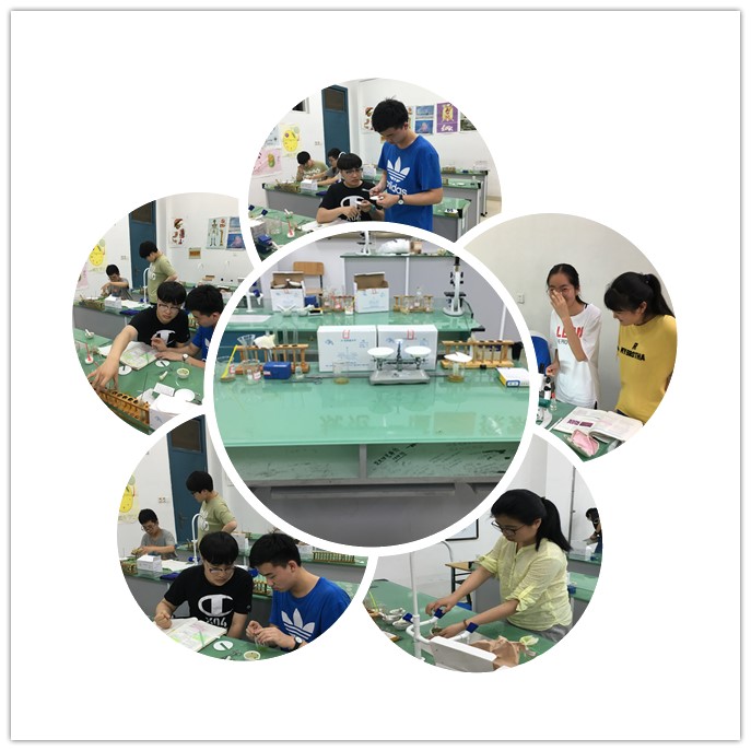 IMG_8081_副本.jpg IMG_8081_副本.jpg