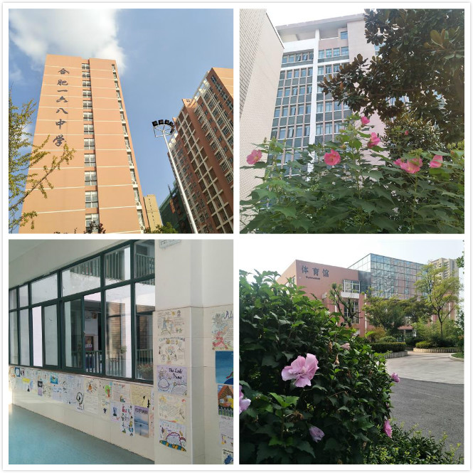 66 - 副本.jpg 66 - 副本.jpg