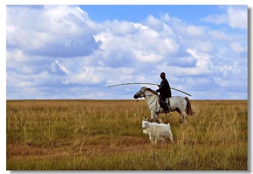 u=2050536627,3261860355&fm=26&gp=0.jpg u=2050536627,3261860355&fm=26&gp=0.jpg