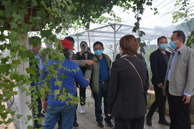 图片10.png 图片10.png