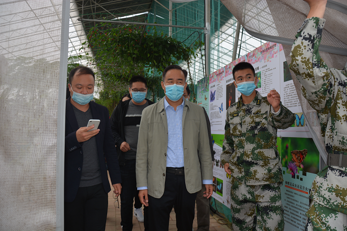 图片11.png 图片11.png